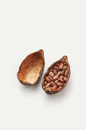 Cocoa pod filled with unpeeled beansの写真素材