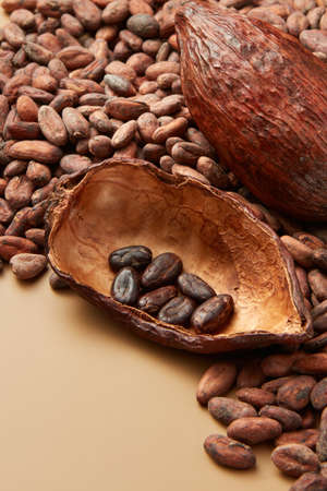 Peeled raw beans of cocoa in podの写真素材