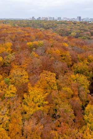 Top view of autumn park at big cityの写真素材