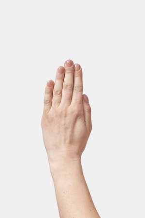 Hands pray gesture isolated on whiteの写真素材