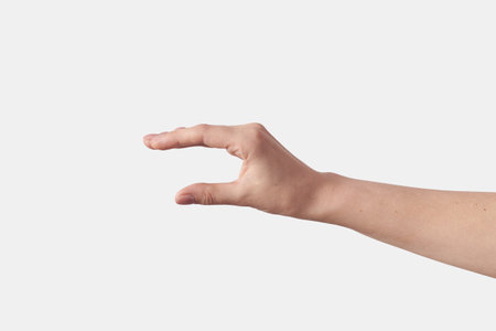 Set of measuring hands on white.の写真素材