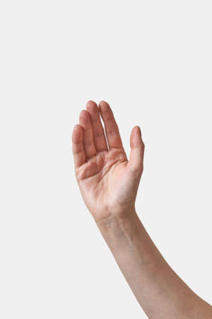 Reaching raising up female hand on white.の写真素材