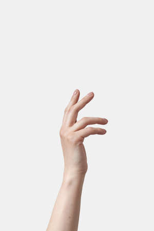Woman hand raised for care on white.の写真素材
