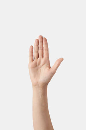 Raised up asking, volunteering female hand on white.の写真素材
