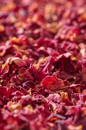 Close up of natural pink rose petals.の写真素材