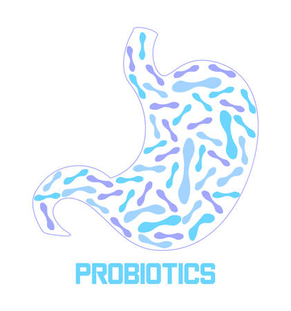 Stomach is getting probiotic bacteria, lactobacillus. Healthcare  immunity support concept vector for banner, poster, flyer, website. Symbol of useful milkのイラスト素材