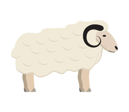 Ram icon concept vector. Sheep isolated on a white background. Farm animal, animal husbandry illustration. Eid al fitr, Eid al adhaのイラスト素材