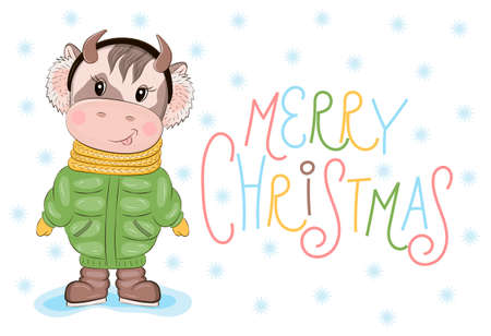 Cartoon bull vector as 2021 Christmas, New Year invitation. Cute baby cow is wearing green coat. dark boots. Poster, sticker, postcard, t-shirt illustration. Xmas letteringのイラスト素材