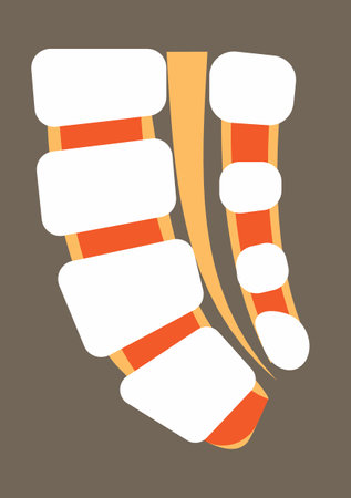 Spinal brain and human skeleton vector are shown. Spine pain, problems, scoliosis, injury, fracture, pathology and disorders manualのイラスト素材