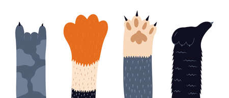 Cats paw vector set. Pet feet in hand drawn style. Paws of fluffy, pretty, friendly kittens. Legs of...