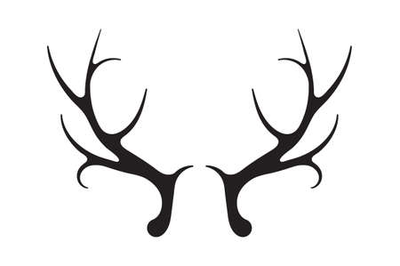 Deer antlers vector. Silhouette of the horns of a wild elk, roe deer on a white background.のイラスト素材