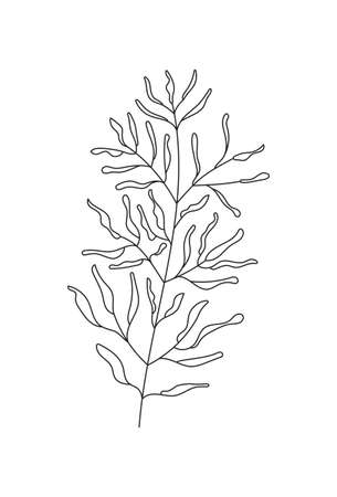 Botanical wall art abstract vectors. Boho branch vector in line art style. Ethnic tribal cactus in hand drawn style with bohemian ornament for wrapping paper, wallpaper, textile, logo, fabric.のイラスト素材