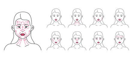 Line massage on the face. Facial massage. Facial skin care at home, infographic vector set.のイラスト素材