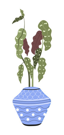 Begonia Maculata houseplant with clay pot with ornaments vector set. Plant growing in pot or planter. Beautiful natural home.のイラスト素材
