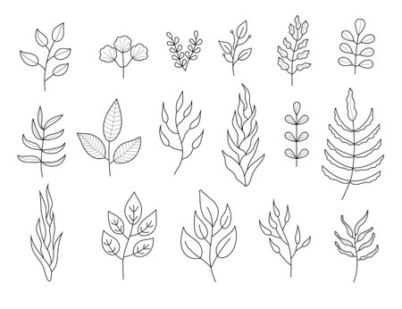 Plant branches doodle set vector. Floral branch and minimalist leaves for tattoo or logo. Tree branches with leaf and flowers. Botanical line contemporary trendy line icons.のイラスト素材