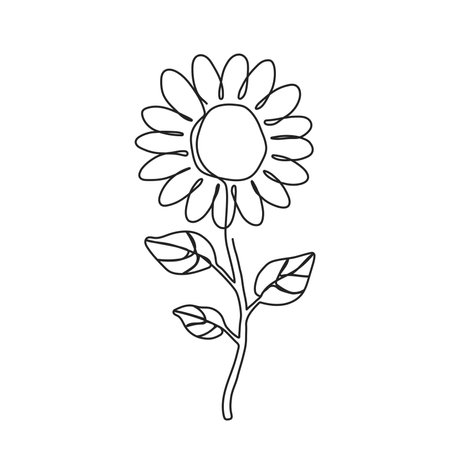 Hand drawn sunflower in continuous one line style. Vector illustration outline of flower isolated on white backgroundのイラスト素材