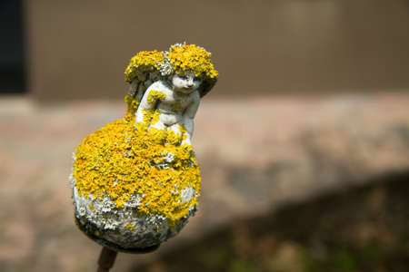 An angel statue covered with lichen.の写真素材