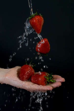 Strawberries in flowing water on black background.の写真素材