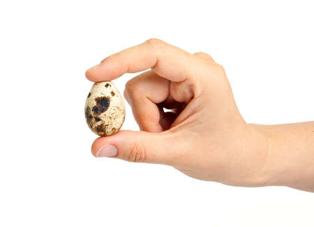 Woman hand with quail egg. Isolated on white background