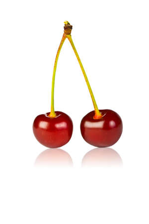 ripe juicy cherries isolated on white  backgroundの写真素材
