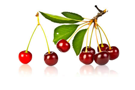 ripe juicy cherries with green leaf on white  backgroundの写真素材