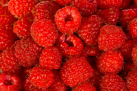 ripe  red wild raspberries macro closeup patternの写真素材