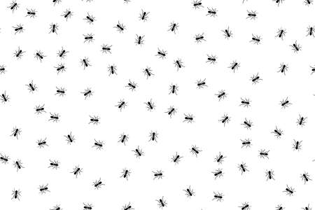 Ant monochromic seamless pattern. Black little ants on white background. Vector illustration.のイラスト素材