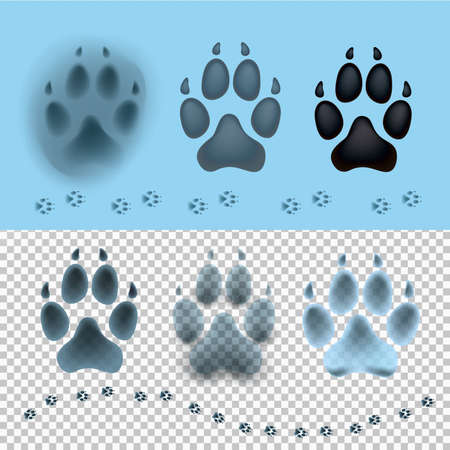 Dog set paw print flat icon for animal apps and websites. Footprint on the snow. Template for your graphic design. Vector illustration. Isolated on transparent and light blue background.のイラスト素材