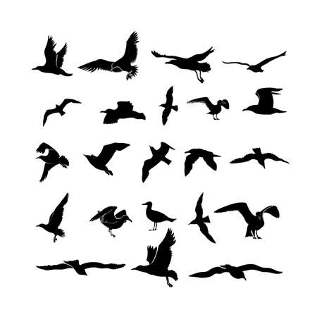 Set of sea gull, seabird flying black silhouette. Freehand drawing. Drawing free flight group icon. Freedom print art. Vector illustration marine birds flock. Isolated on white backgroundのイラスト素材