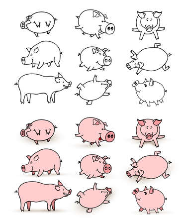 Cute pig set. Vector illustration. Isolated on white background.のイラスト素材
