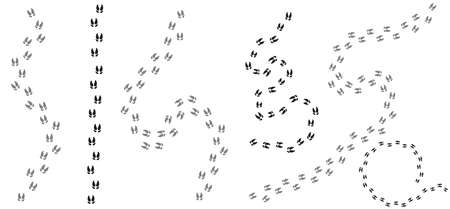 Set of Footpath trail of pig prints walking randomly. New year tracks. Vector illustration. Isolated on white background.のイラスト素材