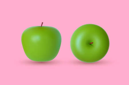 Two perfect fresh green apples. side and top view. vector illustration. Realistic fruits isolated on pink background.のイラスト素材