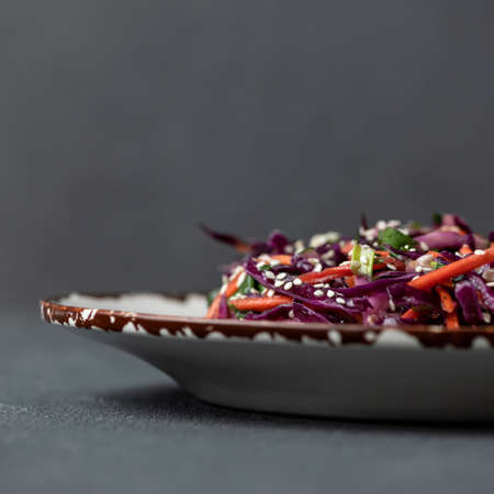 Vitamin Healthy food. Mixed fresh salad of red cabbage, carrots or pamkin, herbs and sesame seeds. Side view of vegetarian dish on gray background. Copy space. Soft focus.の写真素材