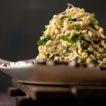 Sprouted legumes or lentil seeds salad with herbs. Side view. Germination. Soft focus. Nutritious plant foods rich in vitamins and protein. Healthy lifestyle concept. Copy space for text.の写真素材