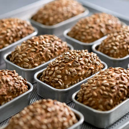 Healthy grain bread. Fresh baked goods concept.