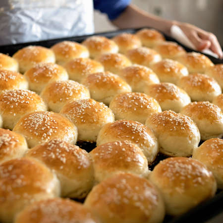 Fresh baked goods with sesame seeds. Hot crispy buns just out of oven. Rows of white round crispbreads or donuts are cooling. Soft focus. Close up shot.の写真素材