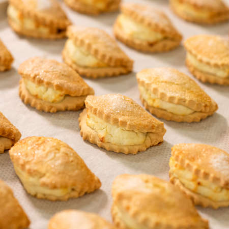 Hot open buns with cottage cheese on baking paper. Top side view. Soft focus.の写真素材