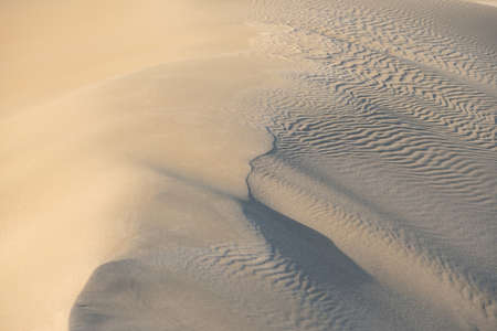Sandy hills of Sand Dune. Desert at sunset or sunrise. Wavy sand texture. Copy space. Horizontal format.の写真素材