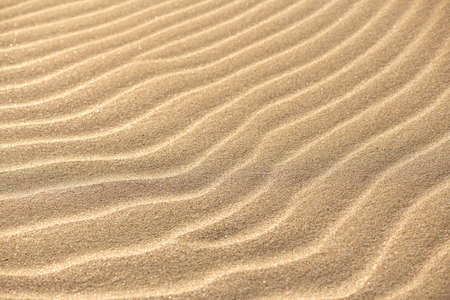 Wavy sand texture. Sand Dune. Desert in sunny day. Abstract golden background or wallpaper.の写真素材