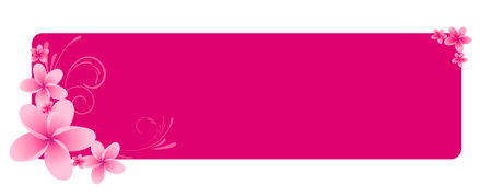 Pink horizontal banner with frangipani flowers and swirl ornamentのイラスト素材
