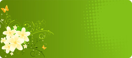 Green banner with plumeria flowers and floral decorationのイラスト素材