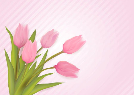 Greeting card with tulip flowers. Pink colored on striped background. Vector illustration.のイラスト素材