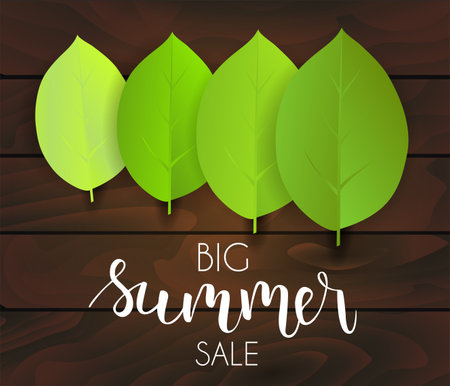 Banner for summer sale. Green leaves on dark wooden background. Vector illustration.のイラスト素材