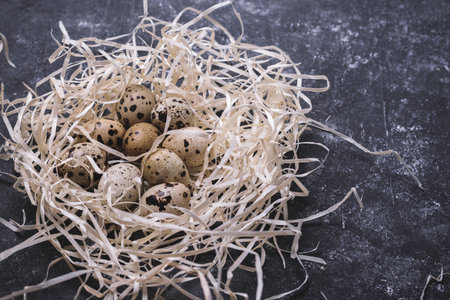 Nest with a quail eggs. Easter background composition. Retro vintage style.の写真素材