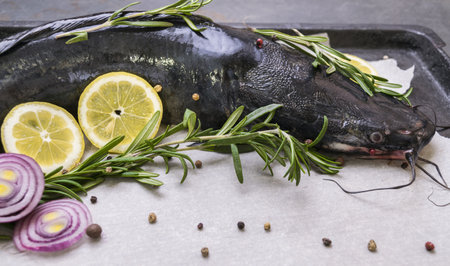 Cooking big catfish. Raw catfish with spices, lemon and rosemary ready for cooking.