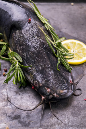 Cooking big catfish. Raw catfish with spices, lemon and rosemary ready for cooking. Close up photo.