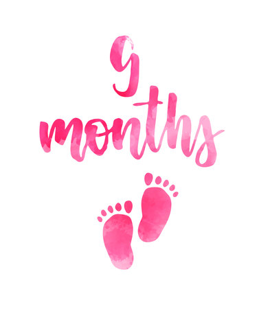 9 months - watercolor handwritten modern calligraphy lettering text. Pregnancy announcement. Baby gender reveal concept illustration. Pink colored for baby girl.のイラスト素材