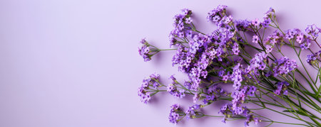Flower bouquet on purple colored background with copyspace. Template for horizontal banner.の素材