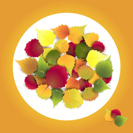 Vector. Illustration of autumn. Colorful leaves of autumn.のイラスト素材
