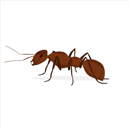 brown ant with antennae on a white backgroundのイラスト素材